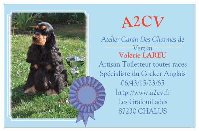 des Charmes de Verzan - A2CV OUVERT !! Artisant toiletteur dans la région LIMOUSIN